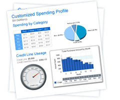 Chart FX for Reporting Services Screenshot