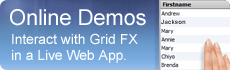Grid FX Online Demo